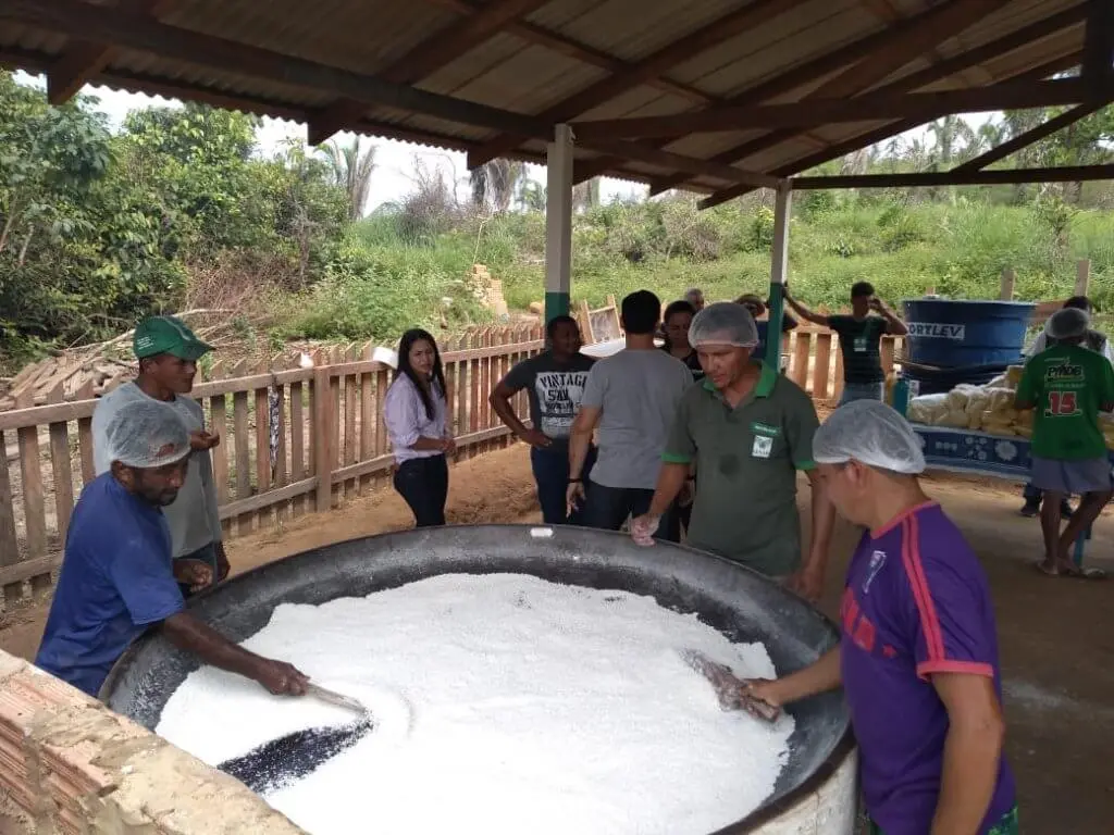 A Importância da farinha de mandioca