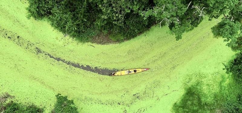 manto verde sobre o rio croa