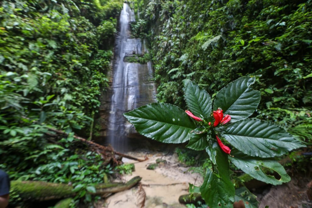 Las cascadas de Serra do Divisor