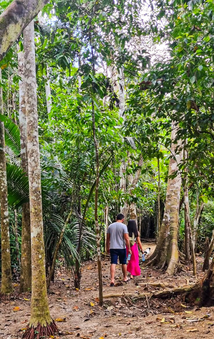 Trilha na Floresta Rio Crôa