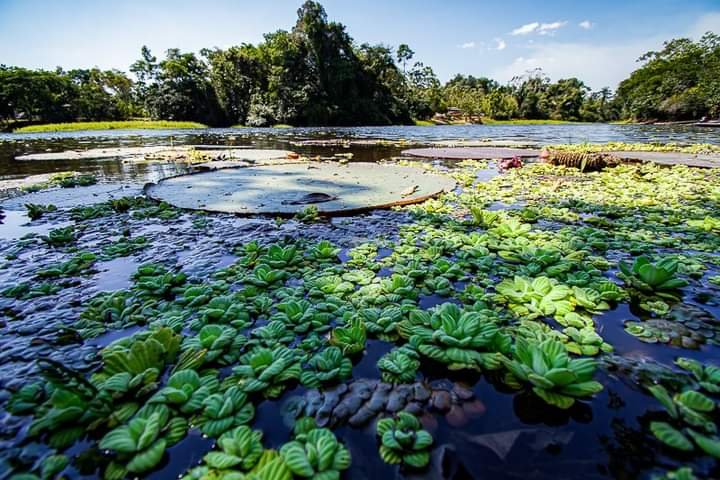 El río Croa en abril