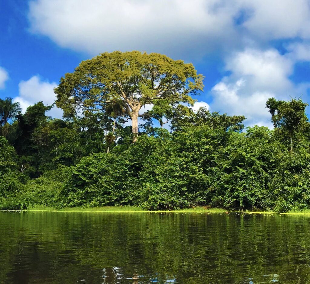 Vamos conhecer o rio croa no mês de Fevereiro