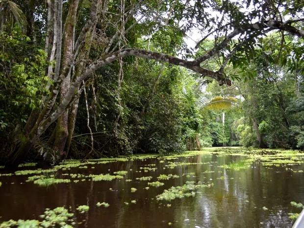  Rio Crôa em JUlho