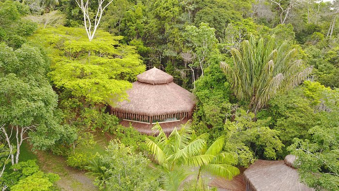 Ayahuasca retiro Brasil